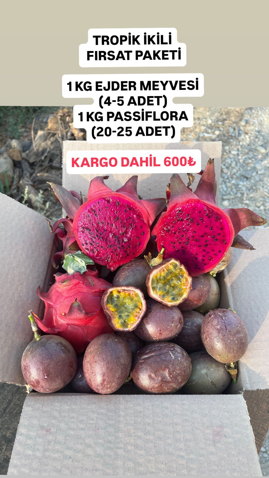 Tropik İkili Fırsat Paketi(1kg EjderMeyvesi-1kg Pasiflora)