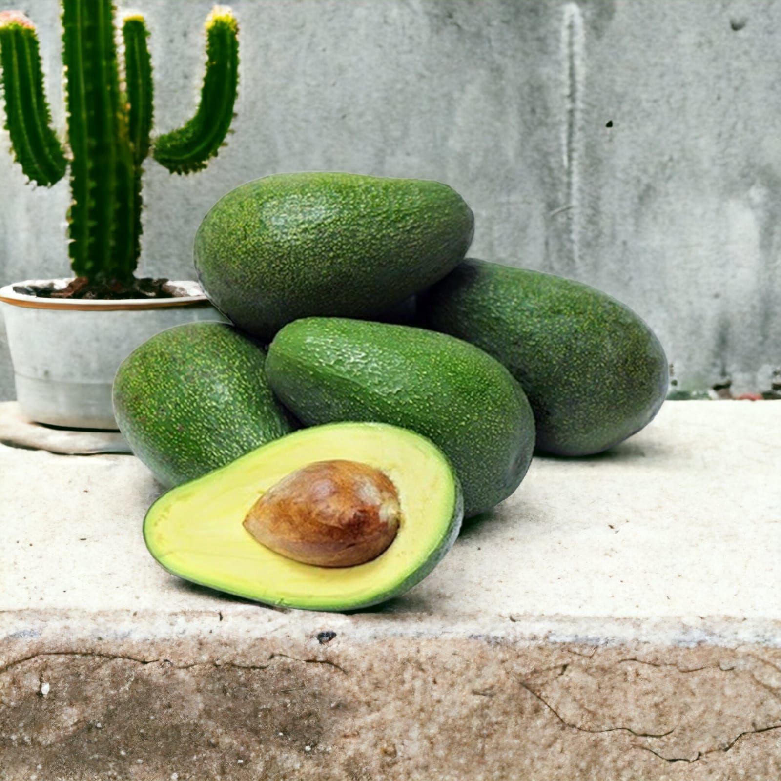 Fuerte Avokado (1 kg) 4 adet