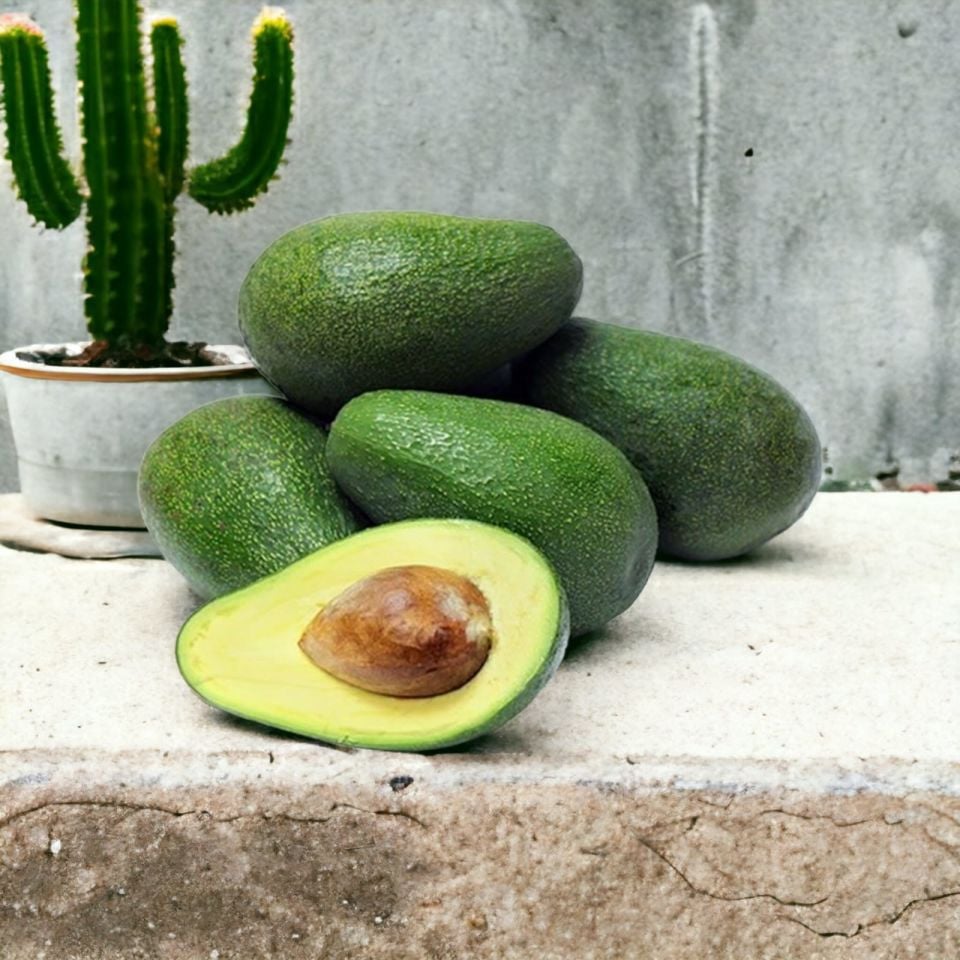 Fuerte Avokado (1 kg) 4 adet