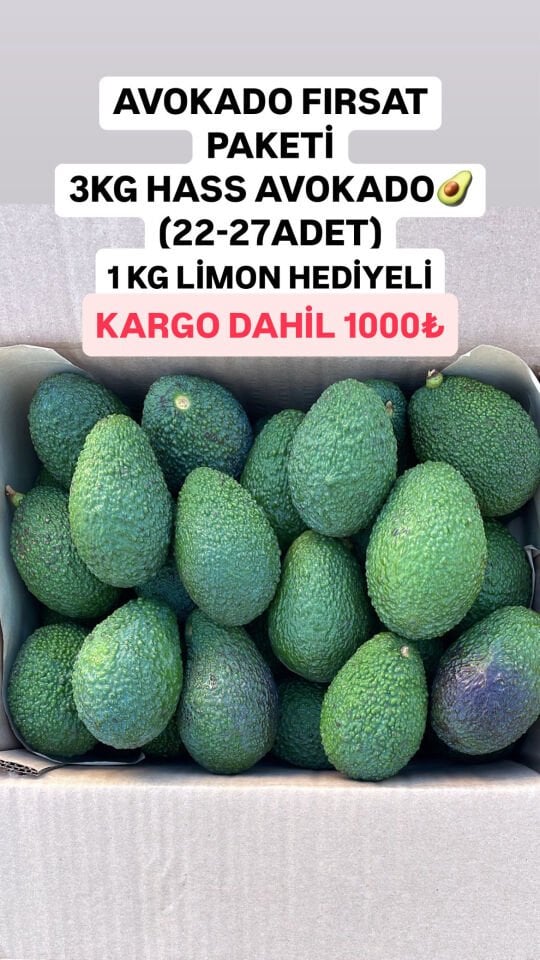 Hass Avokado 3 kg(22-27 adet)