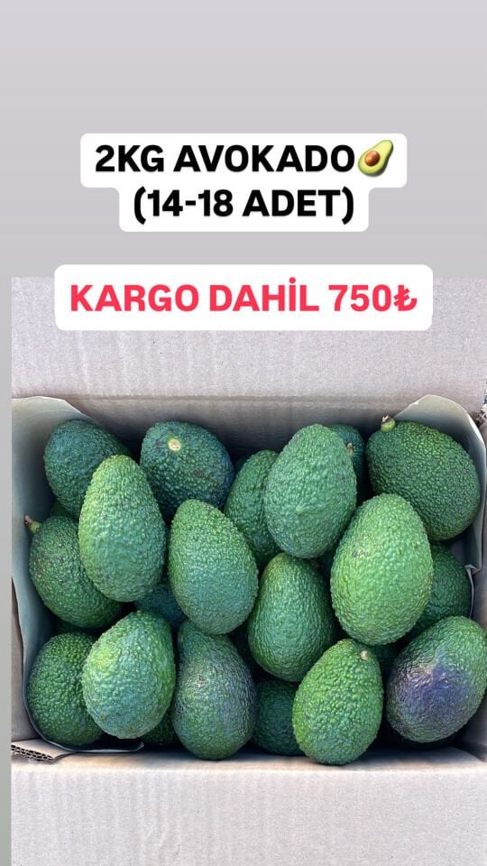 2KG HASS AVOKADO (140 gr altı)(15-18 ADET)