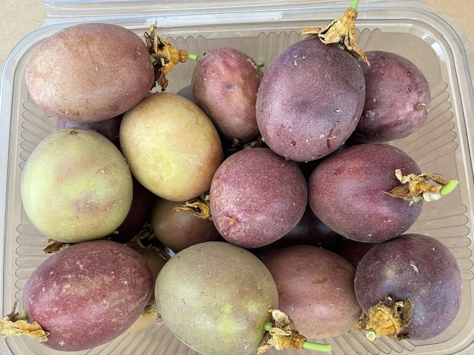 Passiflora(Çarkıfelek) Meyvesi 500gr(15-20 adet)