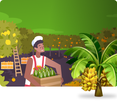 Nasıl Saklanır Olgunlaşır?